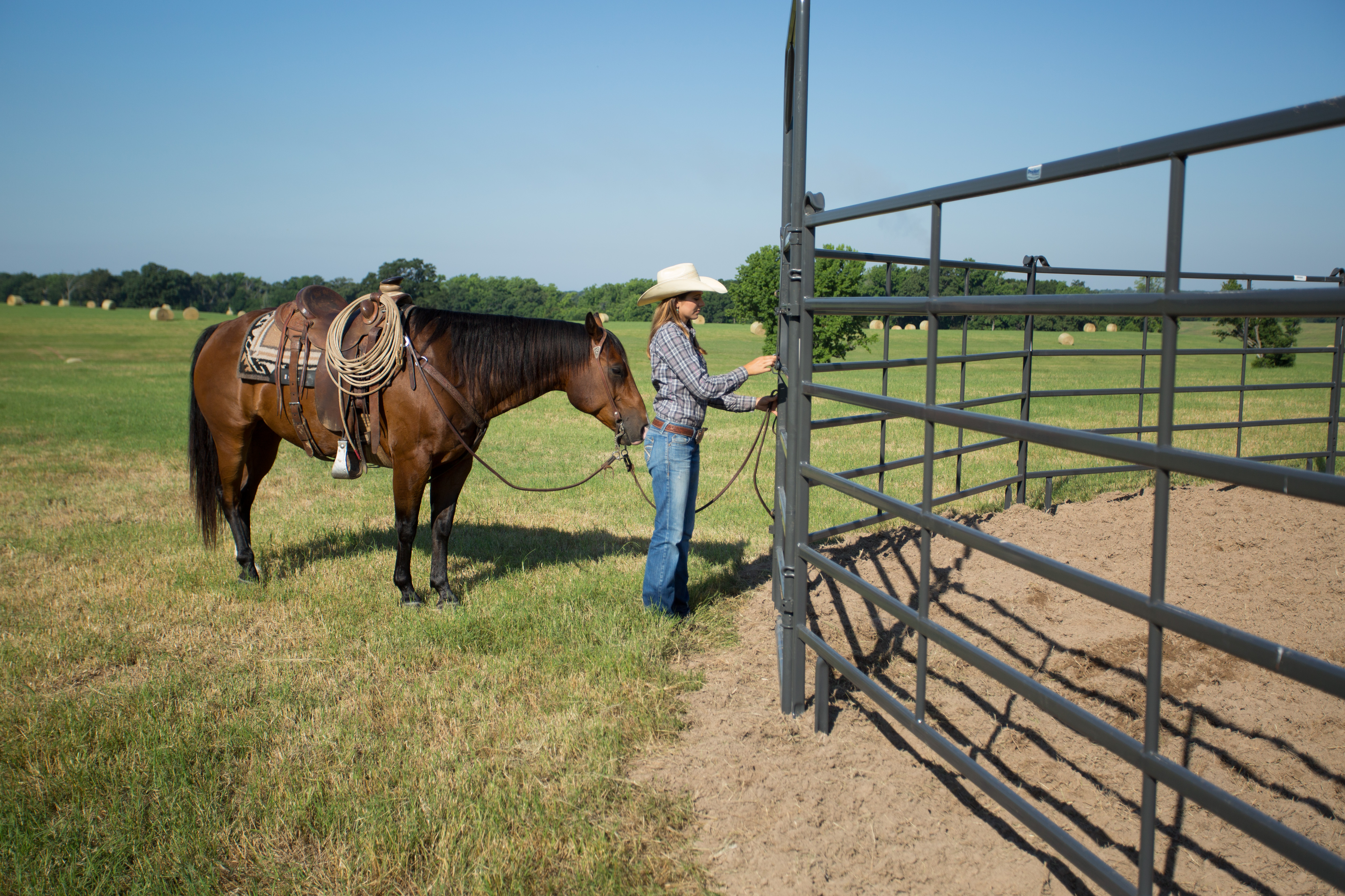 Premier Tall Round Pen PPT50 48.jpg